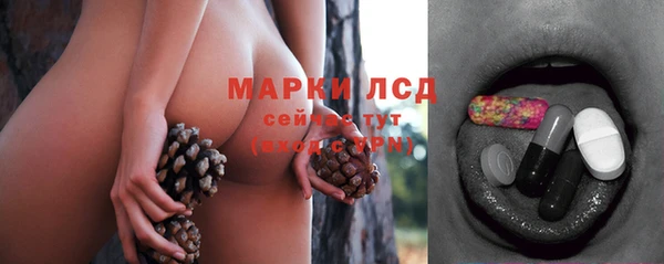 шишки Алексин
