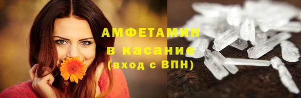 шишки Алексин
