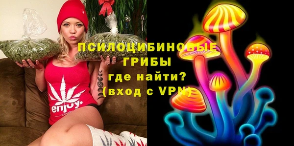метамфетамин Алексеевка