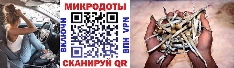 Галлюциногенные грибы мицелий  где купить наркоту  Лениногорск 