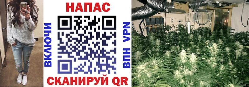 Конопля Amnesia  hydra ТОР  Лениногорск  сколько стоит 